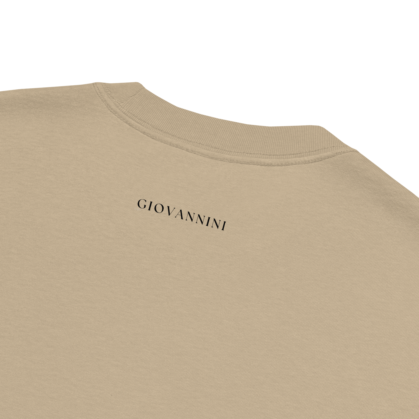 Oversized faded t-shirt with butterfly and cross in a minimalist artistic style